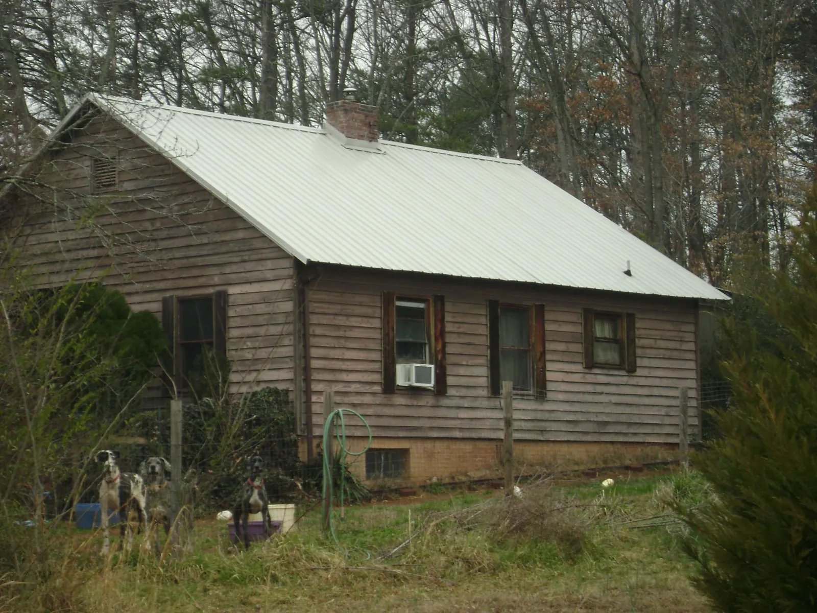 White metal roof on an old wood sided farmhouse, from a Asphalt Shingle Roof Repair job in Biddeford Pool